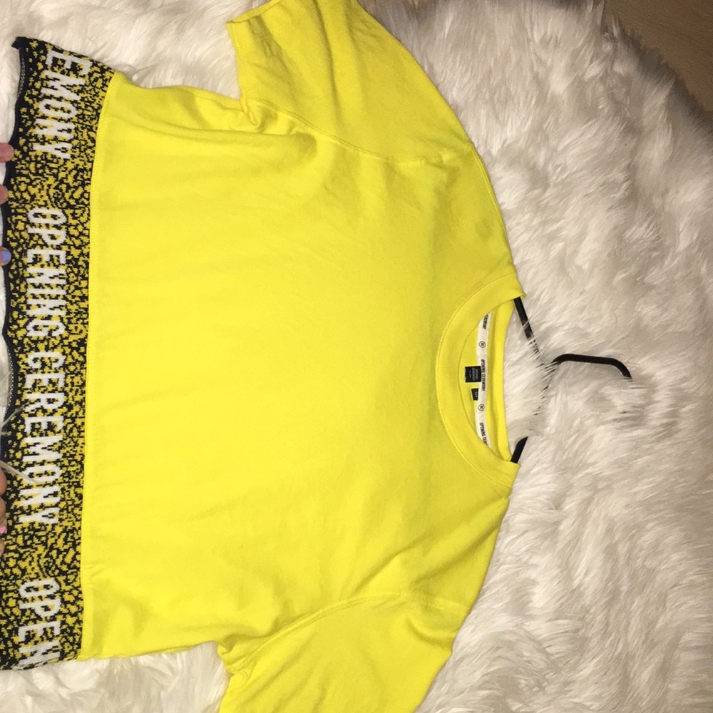 opening ceremony cropped tee